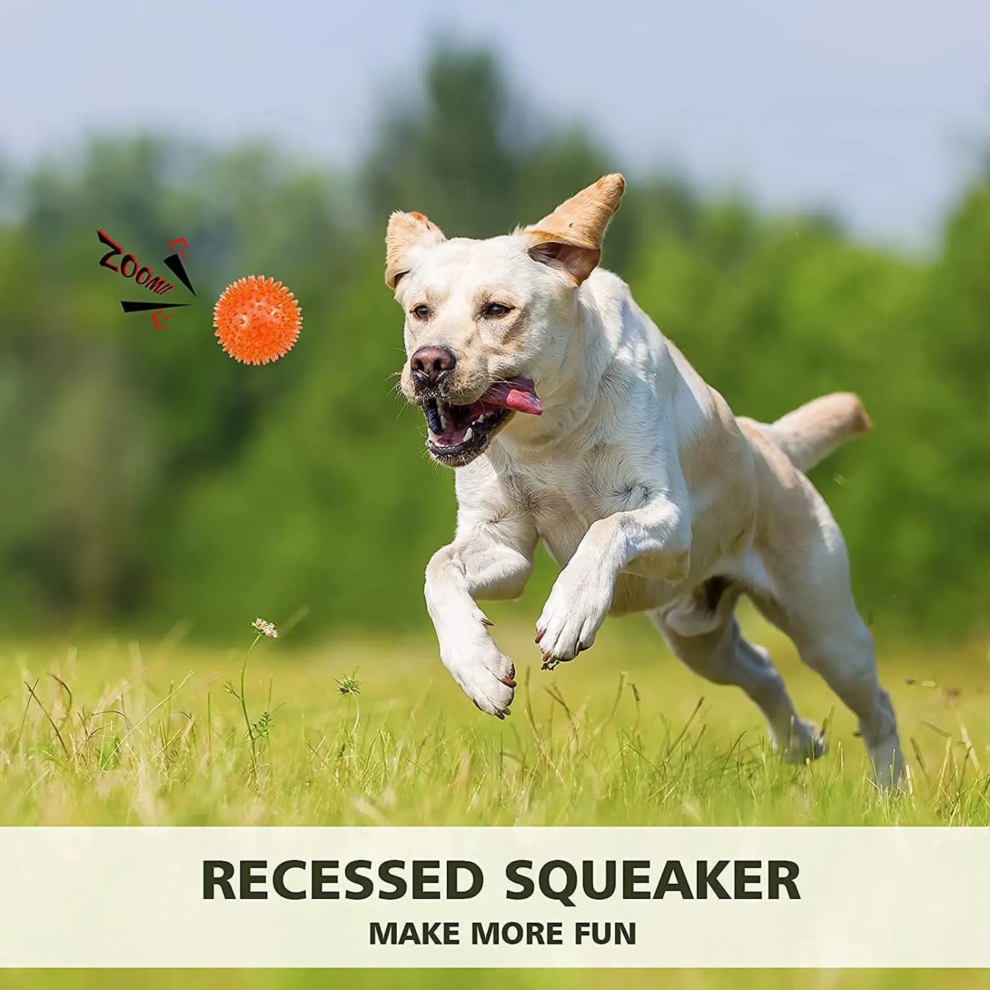6 Pack Squeaky Dog Toy Balls, Floating Pool Toys, Durable Fetch Chew Toys for Medium/Large Dogs