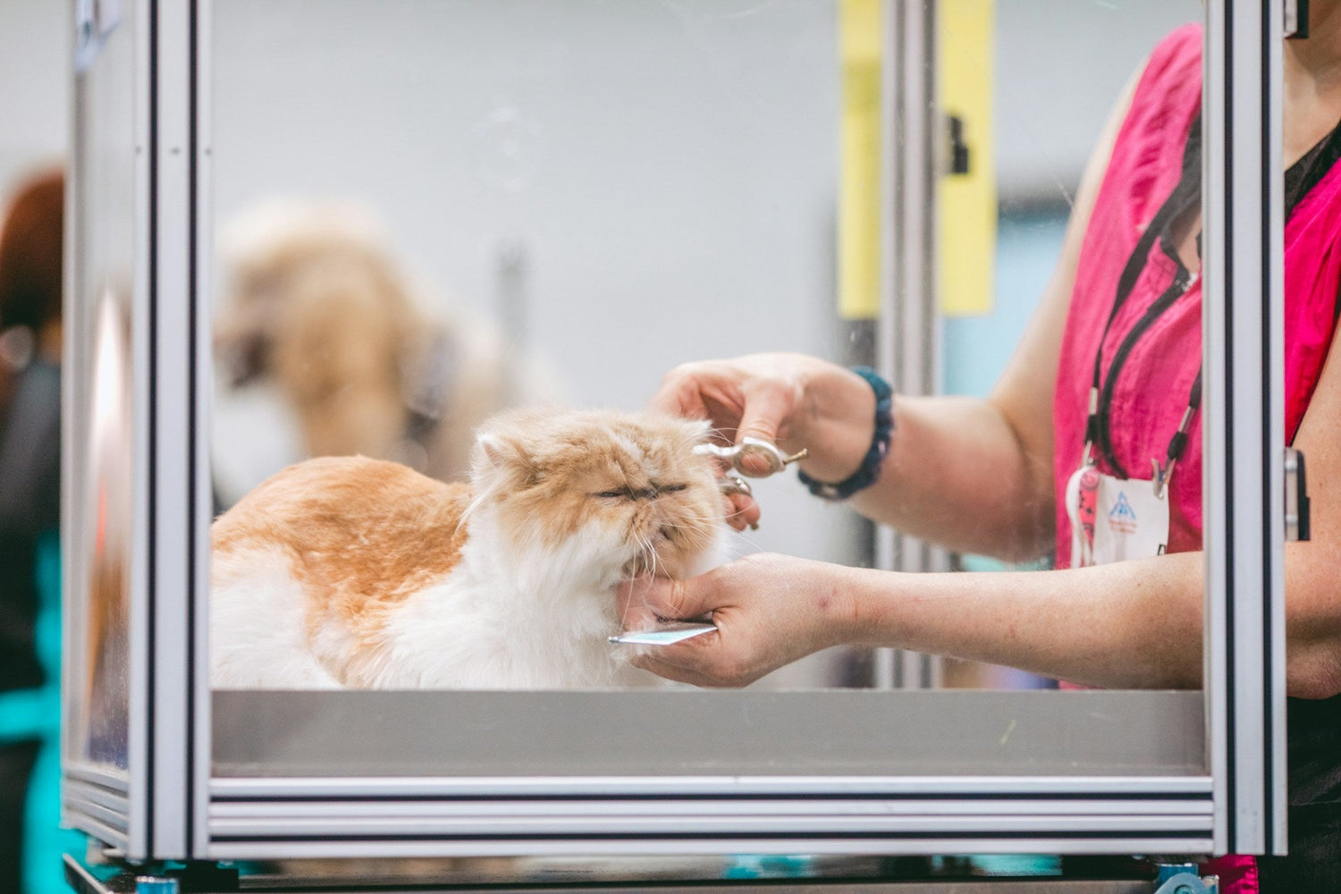 Grooming Supplies