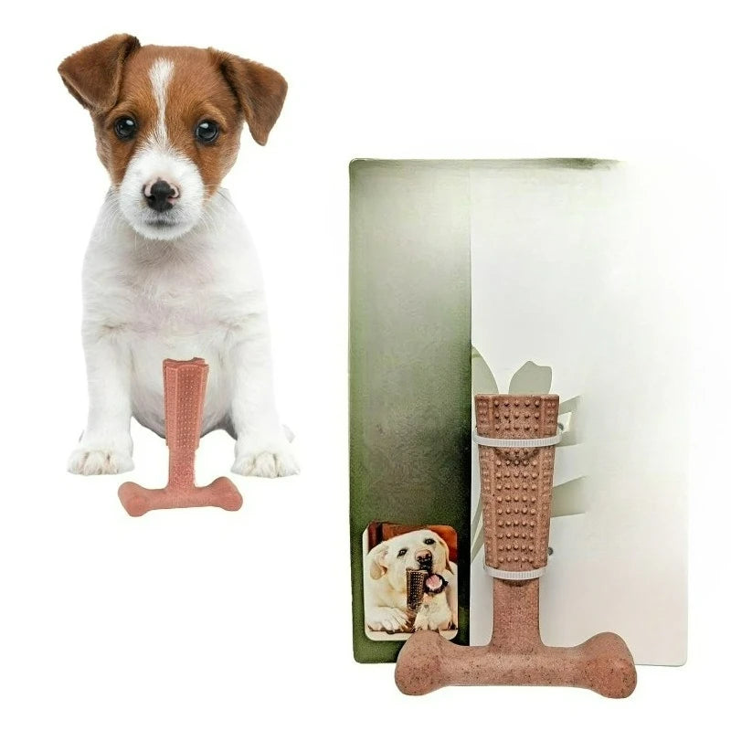 T Bone Dog Chew Toy for Moderate to Aggressive Chewers, 4", Beef Flavor, For Adult Dogs & Teething Puppies Under 30lbs, Non-Splintering