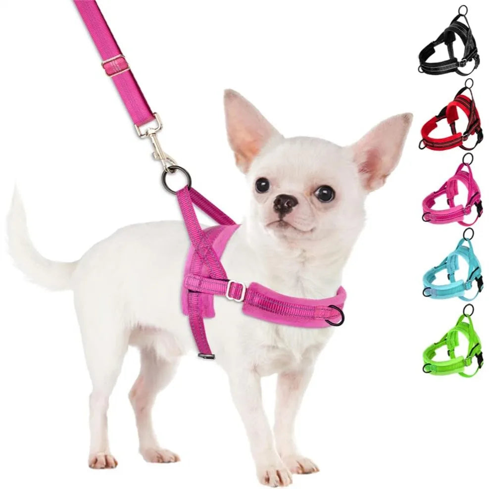 Small Dog Harness and Leash Set with Reflective Strips, Adjustable No Pull Puppy Vest for Walking Training, Lightweight Pet Lead