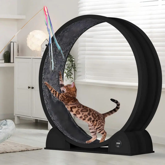 Cat Exercise Wheel Large 114cm Super Quiet Running Wheel with Pedometer & Removable Mat for Fitness, Weight Loss, Training