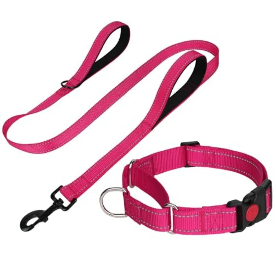 Reflective Martingale Collar 16"-20" and Leash (5ft x 1") for Medium Dog, Escape-Proof with 2 Handles, Safe Night Walks, Durabl