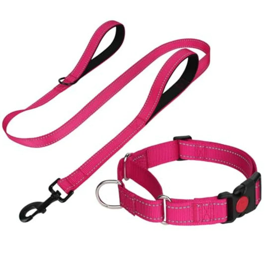 Reflective Martingale Collar 16"-20" and Leash (5ft x 1") for Medium Dog, Escape-Proof with 2 Handles, Safe Night Walks, Durabl