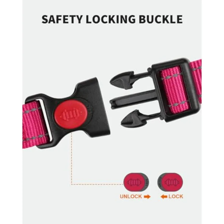 Reflective Martingale Collar 16"-20" and Leash (5ft x 1") for Medium Dog, Escape-Proof with 2 Handles, Safe Night Walks, Durabl