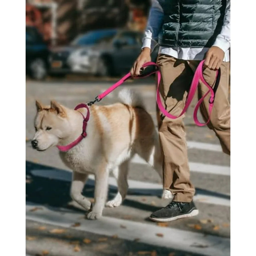 Reflective Martingale Collar 16"-20" and Leash (5ft x 1") for Medium Dog, Escape-Proof with 2 Handles, Safe Night Walks, Durabl