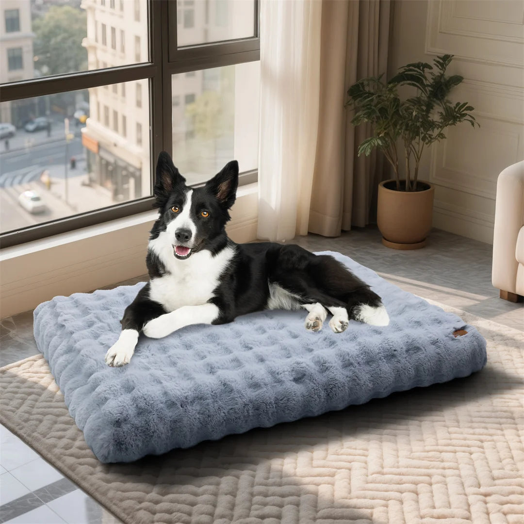 BINGOPAW Ultra-Soft Dog Bed with Removable Cover Machine Washable Cozy Pet Sleep Bed Calming Cat Cushion Cover