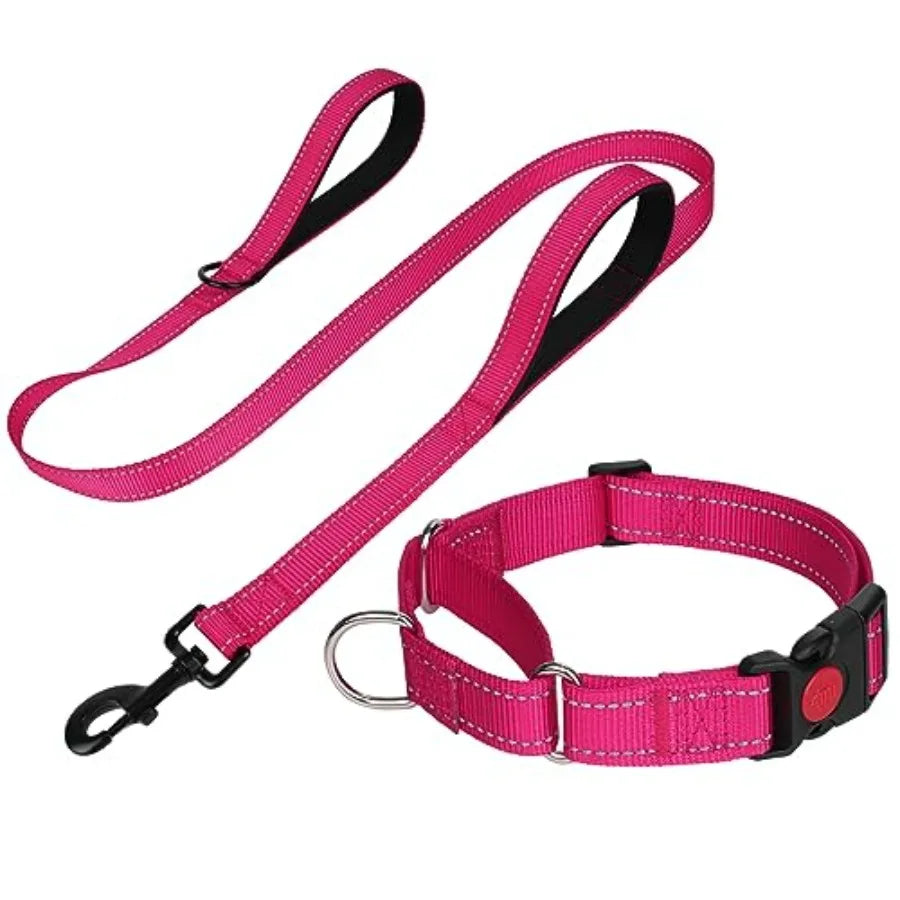 Reflective Martingale Collar 16"-20" and Leash (5ft x 1") for Medium Dog, Escape-Proof with 2 Handles, Safe Night Walks, Durabl