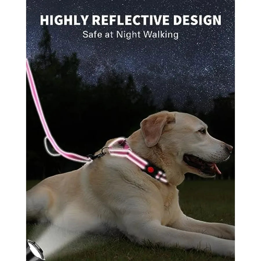 Reflective Martingale Collar 16"-20" and Leash (5ft x 1") for Medium Dog, Escape-Proof with 2 Handles, Safe Night Walks, Durabl