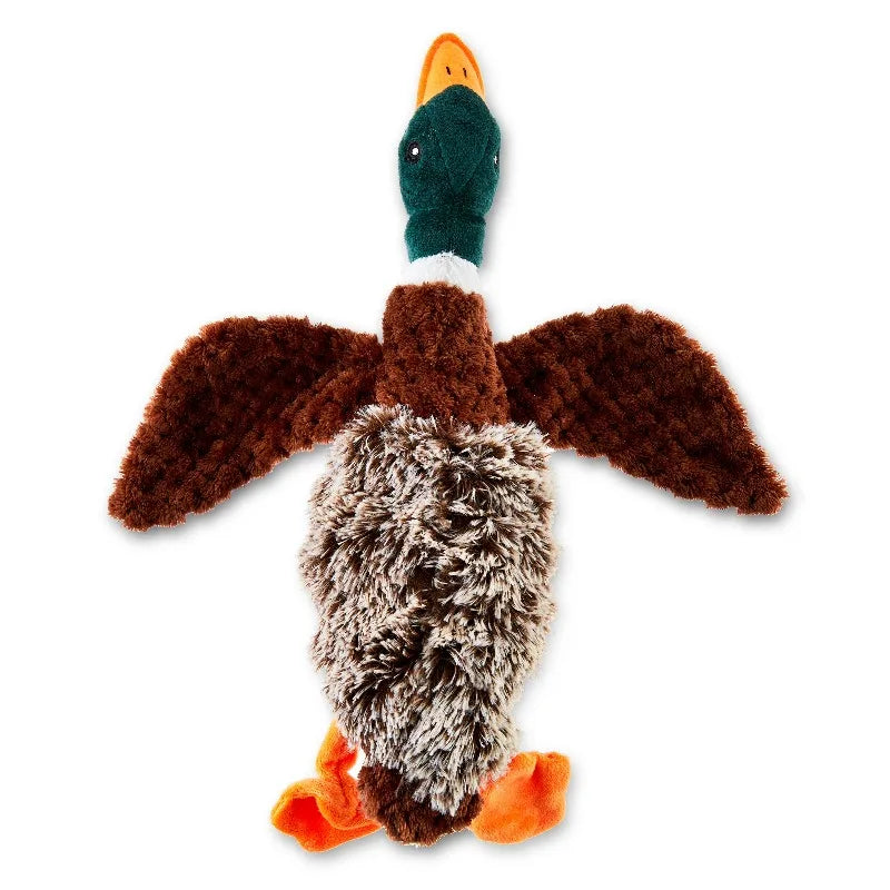 Multicolor Duck Plush Dog Toy with Honking Squeaker, Chew Level 1
