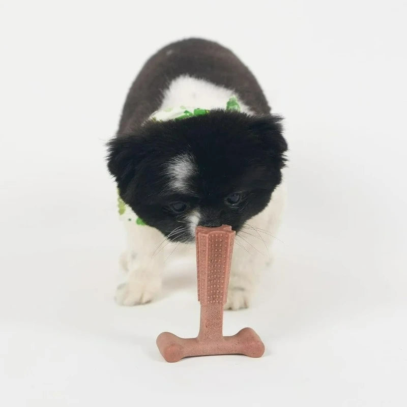 T Bone Dog Chew Toy for Moderate to Aggressive Chewers, 4", Beef Flavor, For Adult Dogs & Teething Puppies Under 30lbs, Non-Splintering