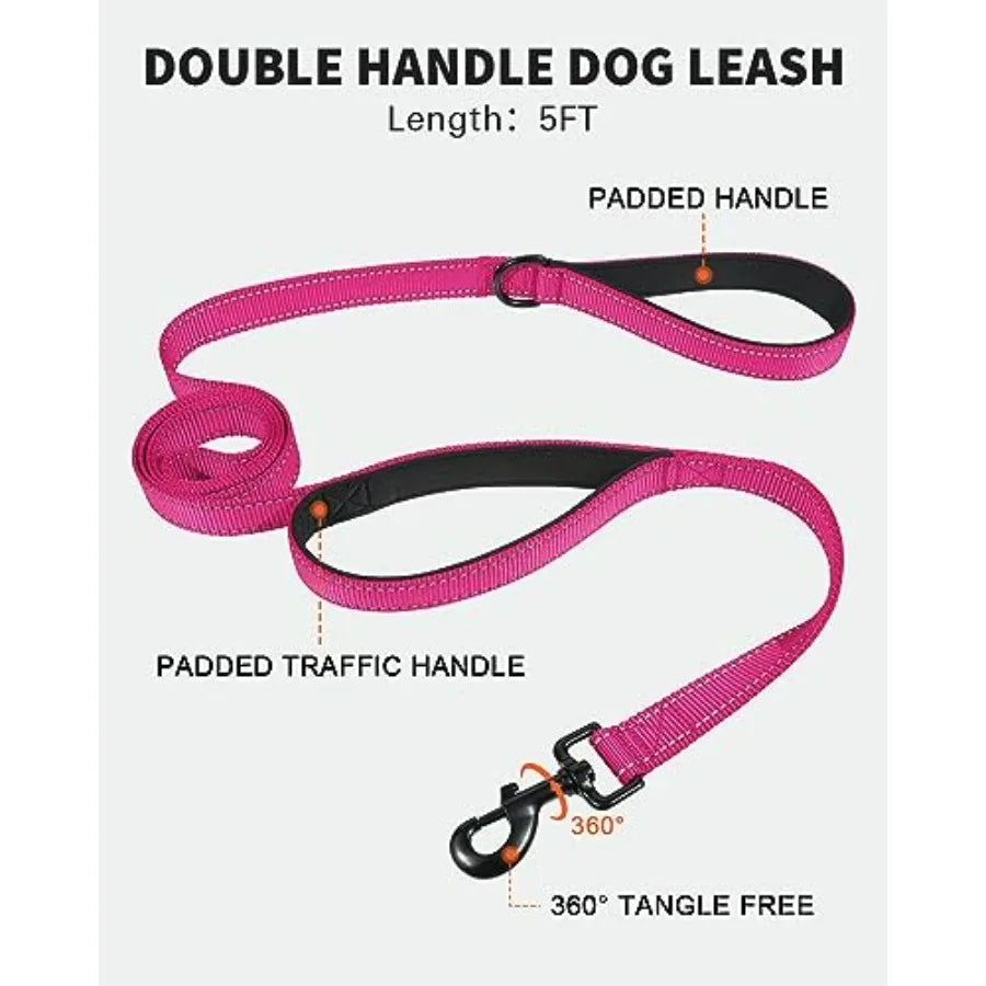 Reflective Martingale Collar 16"-20" and Leash (5ft x 1") for Medium Dog, Escape-Proof with 2 Handles, Safe Night Walks, Durabl