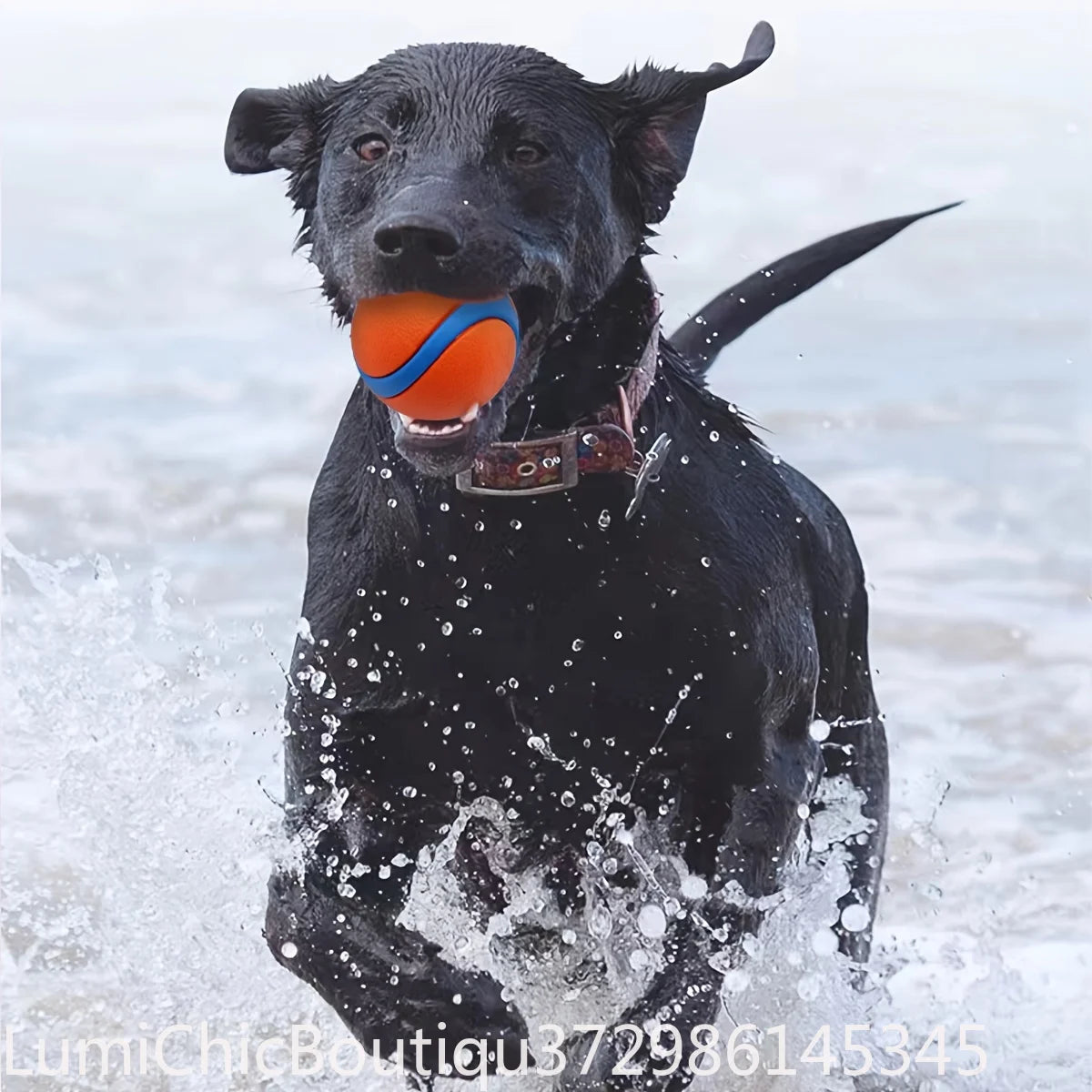 Durable Silicone Dog Chew Ball Interactive Pet Toy For Medium Breeds Teeth Cleaning Play‑Time Fun Dog Entertainment Supply