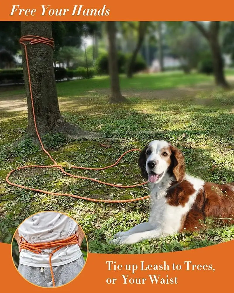 Reflective Dog Leash for Training, 10FT to 100FT Sizes, Heavy Duty Lead for All Dogs - Outdoor Walking & Camping