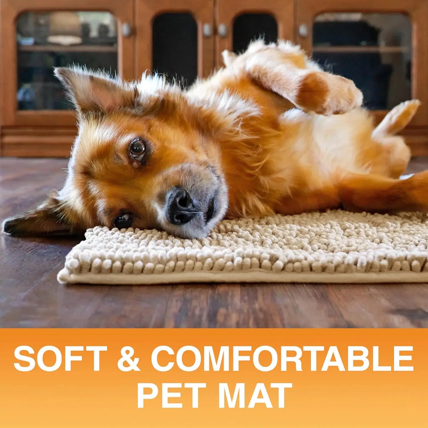 Super Absorbent Quick-Dry Chenille Dog Door Mat 24x17 Inches, Non-Slip Machine Washable Pet Rug for Indoor Entryway