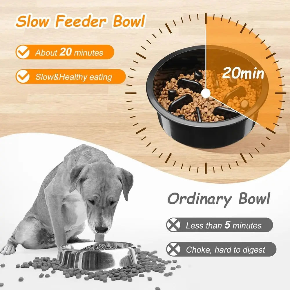 Slow Eeder Dog Bowl, Slow Down Eating Anti-Choking Bloat Stop Maze Design Dog Dishes, Black