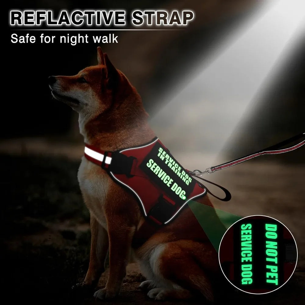 Service Dog Vest Harness and Leash Set with 10 Patches, No Pull Adjustable Reflective Dog Harness with Soft Padded Handle for Training, Fits S-XXL Dogs (Red M)
