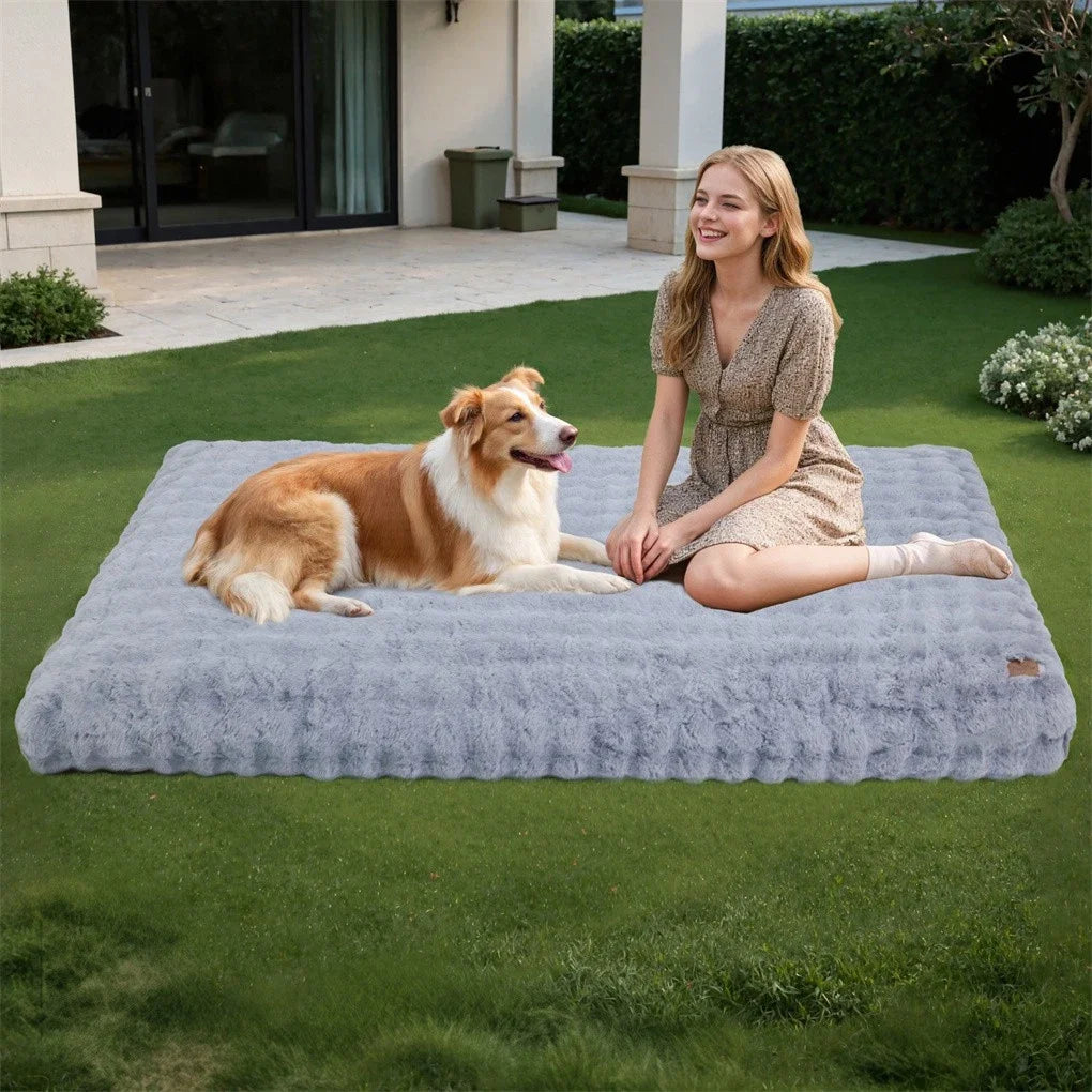 BINGOPAW Ultra-Soft Dog Bed with Removable Cover Machine Washable Cozy Pet Sleep Bed Calming Cat Cushion Cover